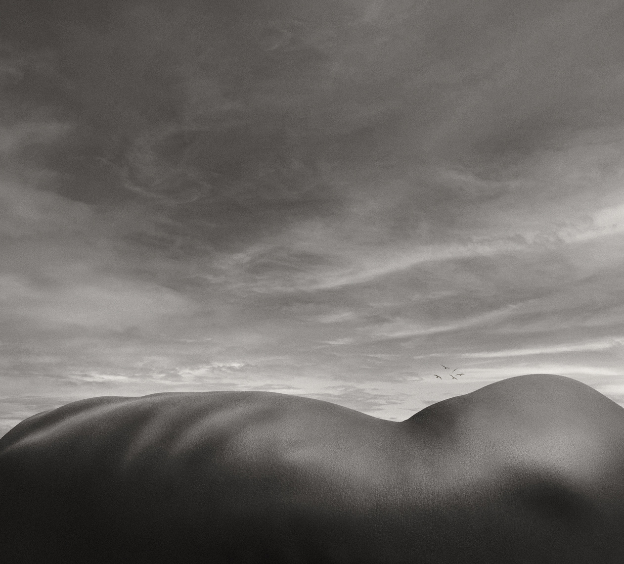 makenna_bodyscape-Jan-17-2021-119-3bw-flip_spine