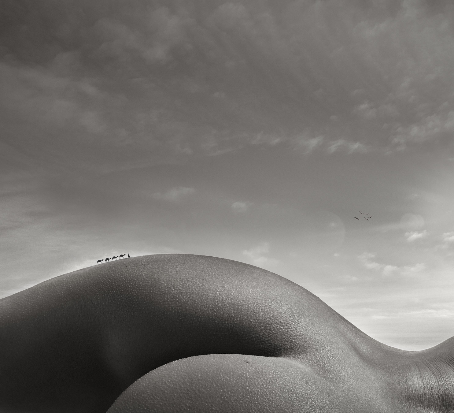 makenna_bodyscape-Jan172021-039-2-1350px1